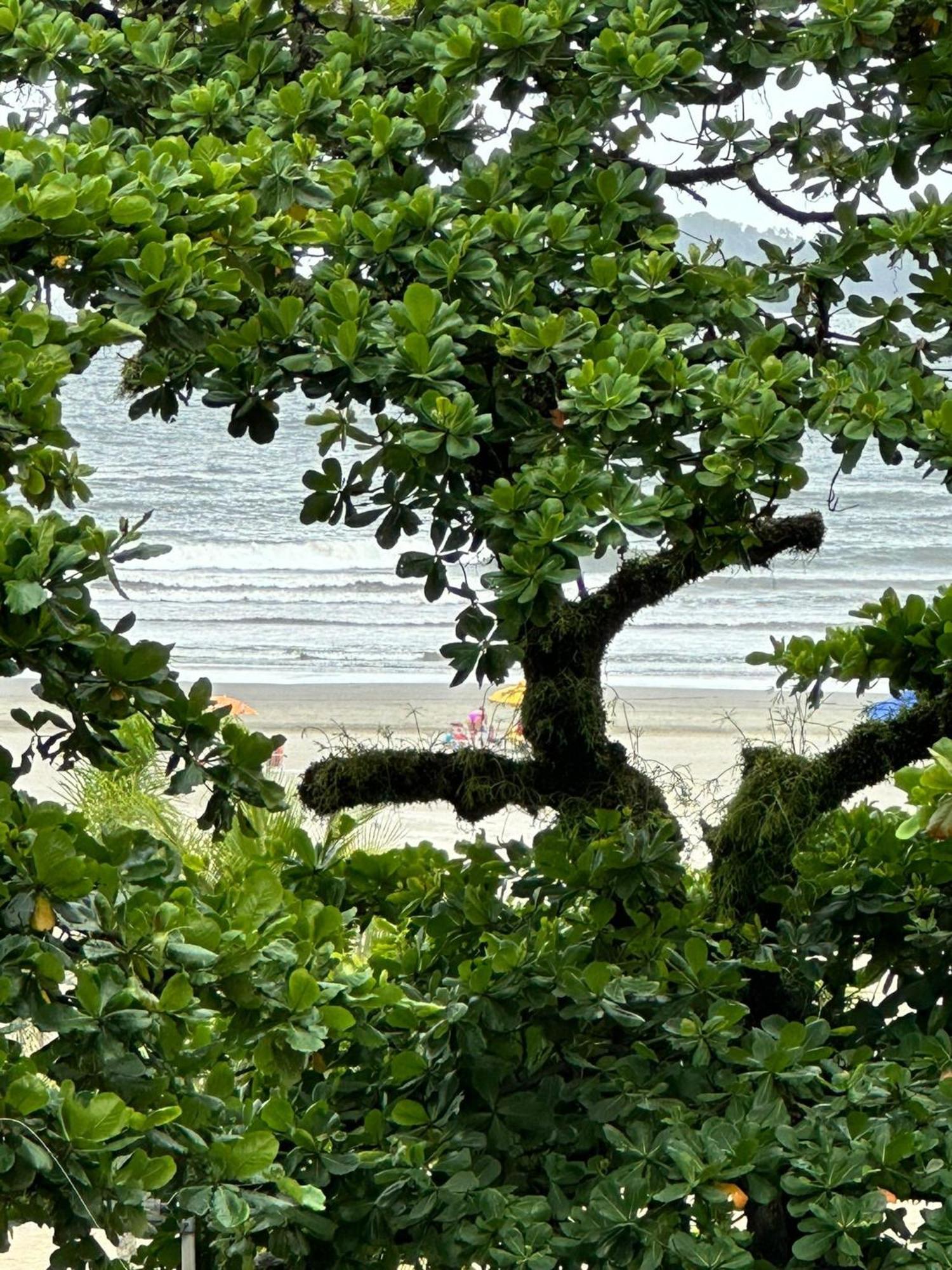 דירות סנטוס Ap Pe Na Areia Vista Parcial Mar מראה חיצוני תמונה
